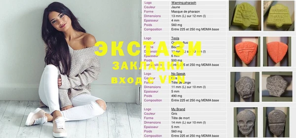 стафф Корсаков