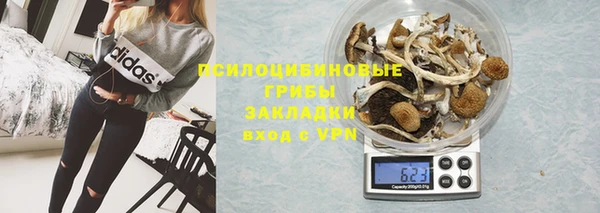 стафф Корсаков