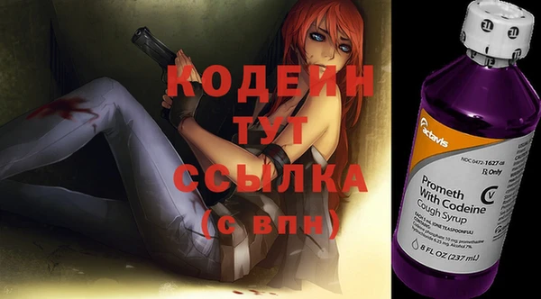стафф Корсаков