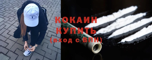 дживик Коряжма