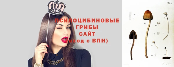 дживик Коряжма