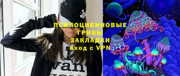 стафф Корсаков