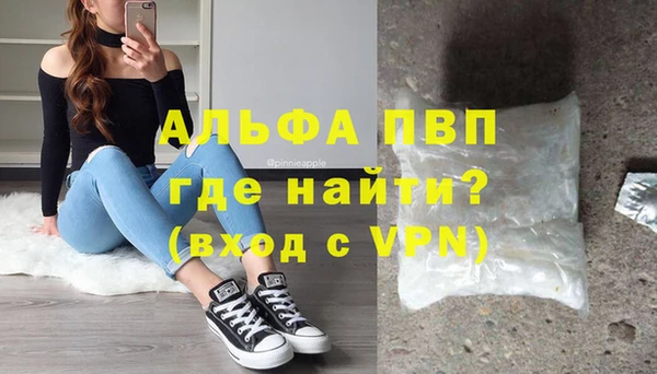 стафф Корсаков