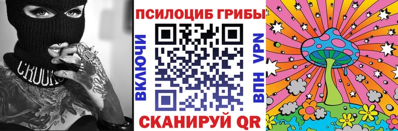 Псилоцибиновые грибы Cubensis  Янаул 