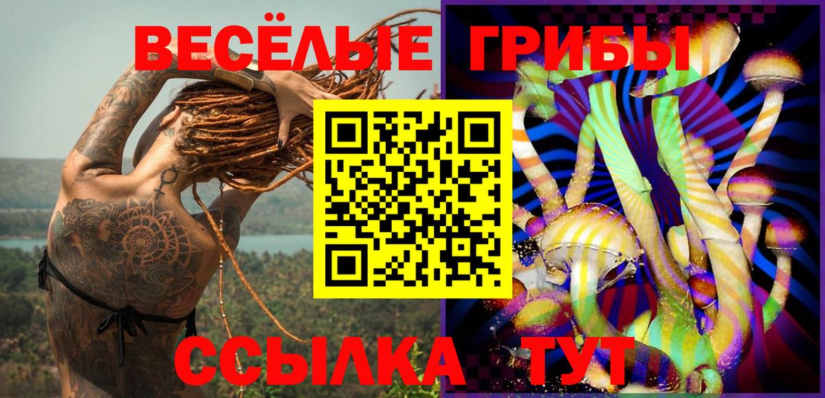 Янаул  Псилоцибиновые грибы мицелий  Вход с VPN 